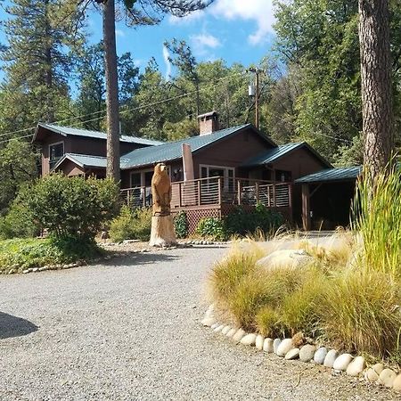Uncle Grizz'S Cabin...Get Intouch With Nature Bass Lake Annex Экстерьер фото