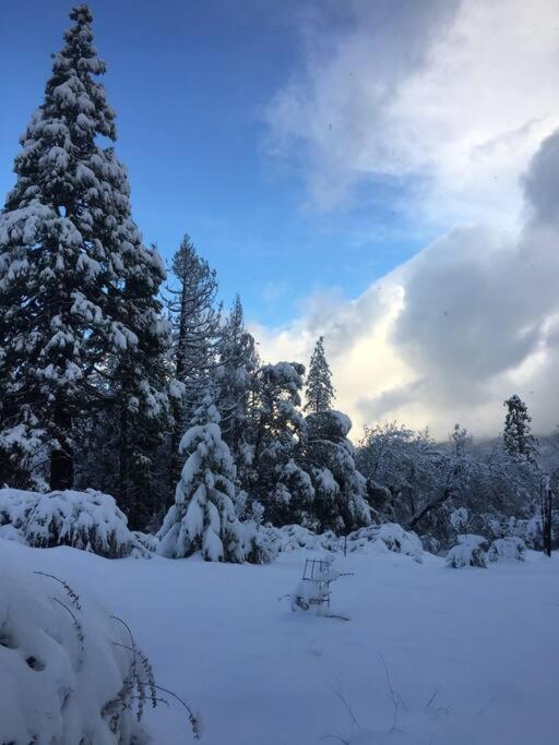 Uncle Grizz'S Cabin...Get Intouch With Nature Bass Lake Annex Экстерьер фото
